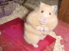 _021802_big_belly_18.JPG