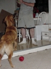 buddy_30.jpg