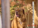 doey_03.jpg
