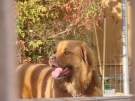 doey_04.jpg