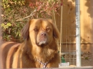 doey_05.jpg