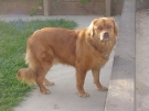doey_06.jpg