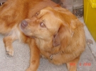 doey_08.jpg